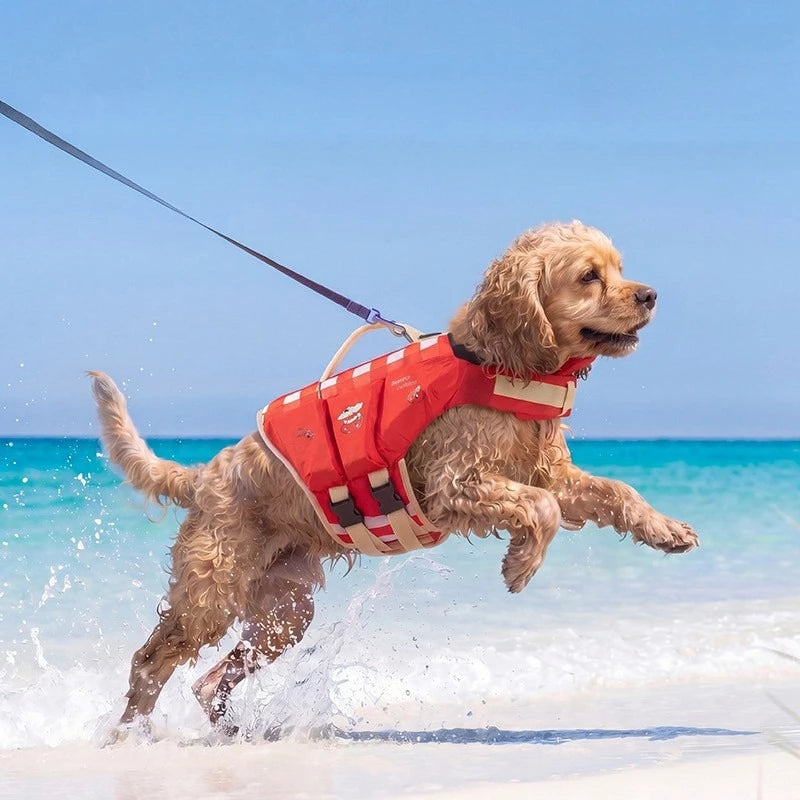 Dog Life Jacket for Medium & Large Dogs – High-Buoyancy Safety Swim Vest