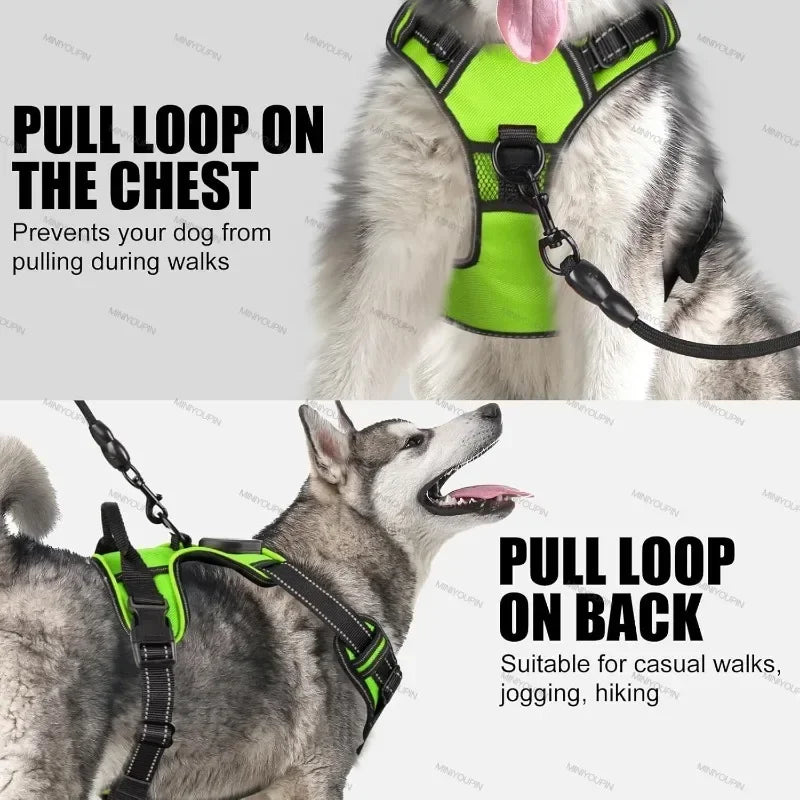 LED Light-Up Dog Harness Vest – USB Rechargeable, No-Pull, 3 Light Modes for Night Walking