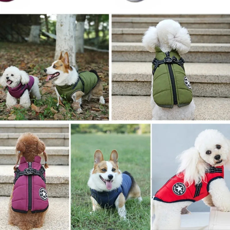 Waterproof Winter Dog Jacket with Built-In Harness – Warm Coat Vest for Small & Medium Dogs
