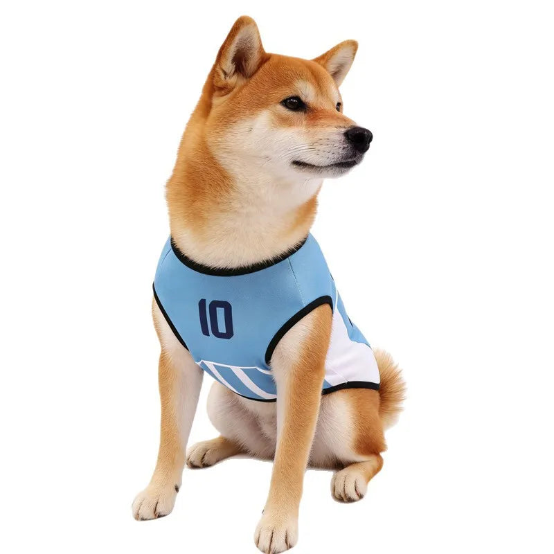 Bellingham #10 Football Dog Jersey – Breathable Summer Sports Vest for Dogs & Cats