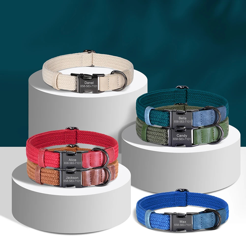 Set of colorful dog collars with engraved names on white cylindrical stands against a dark blue background.