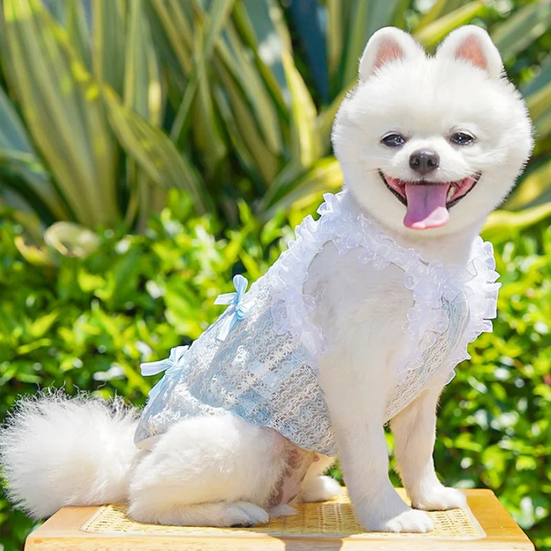 Princess Mesh Dog Vest with Bow & Lace – Summer Sling Dress for Small Dogs & Cats