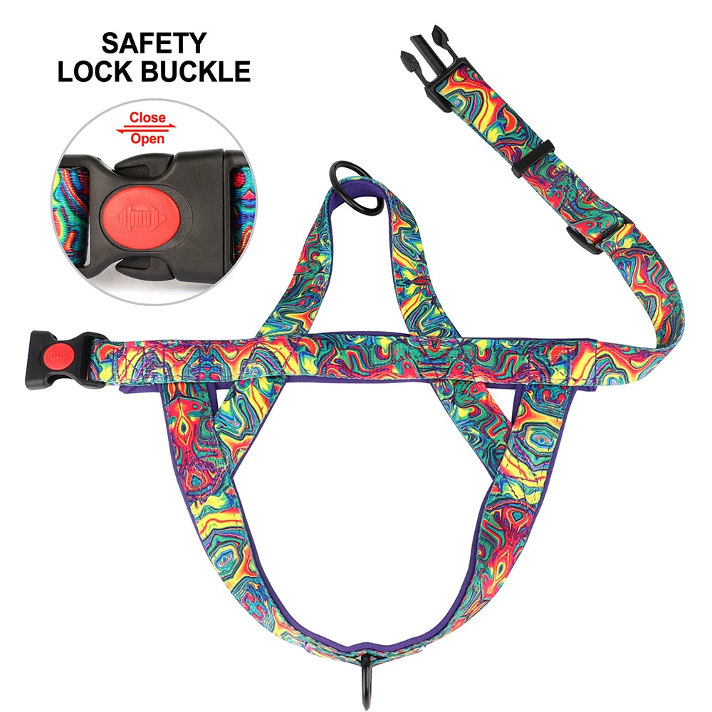 Colorful dog harness with safety lock buckle on a white background