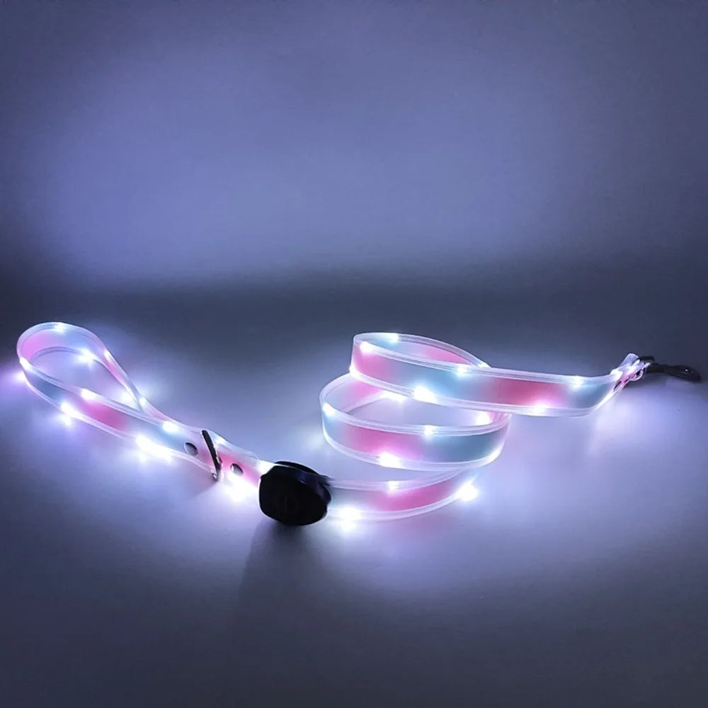 Adjustable LED Dog Collar & Leash Set – USB Rechargeable