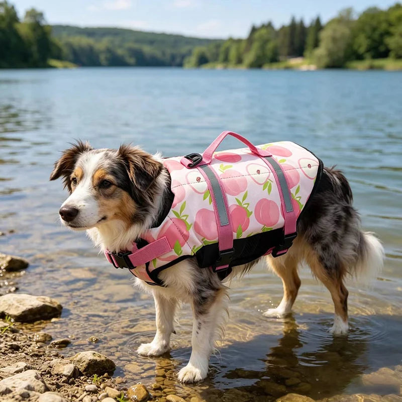 Dog Life Jacket – Reflective Adjustable Safety Vest with Enhanced Buoyancy for Swimming & Boating