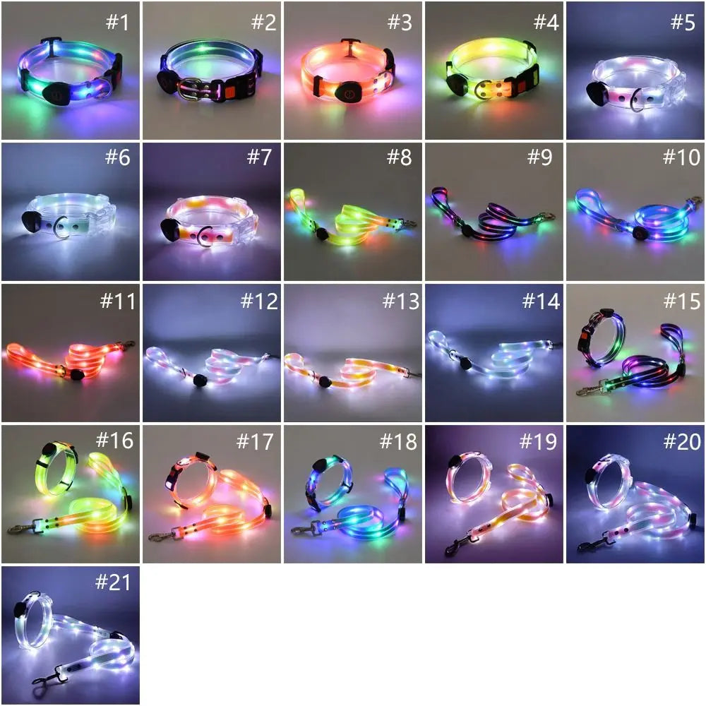 Grid of 21 LED dog collars in various colors and designs.