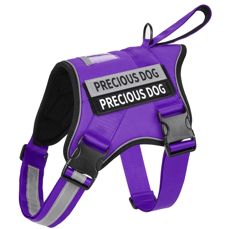 Purple dog harness with 'PRECIOUS DOG' label on a white background