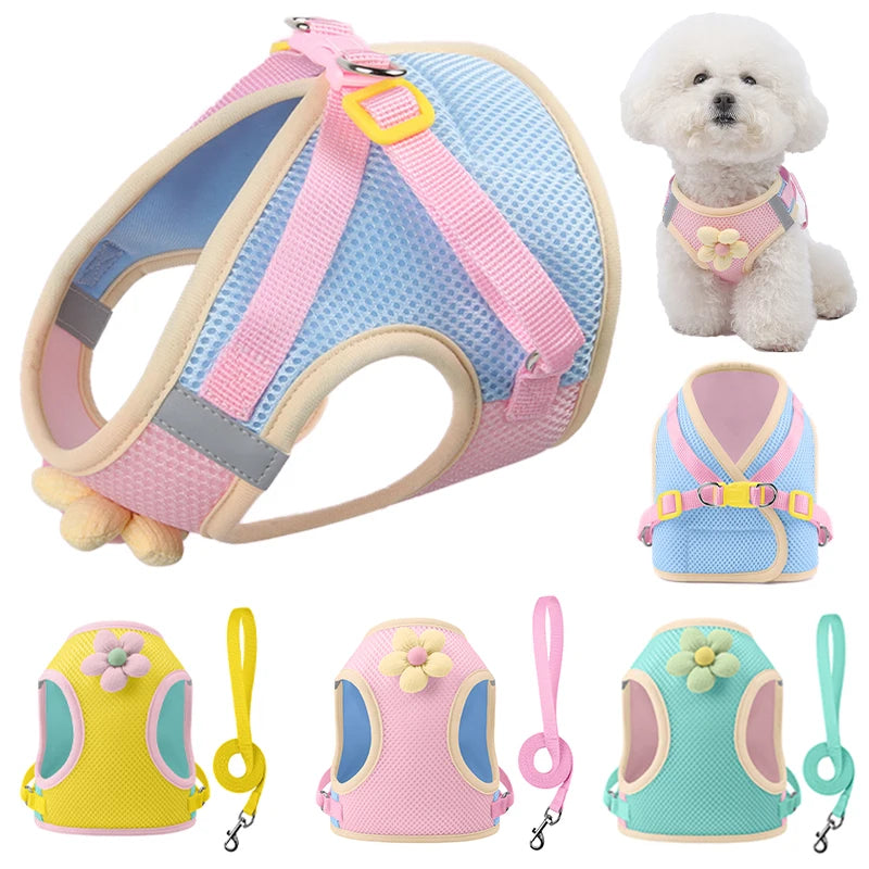Breathable Mesh Dog & Cat Harness Leash Set – Reflective Vest for Small Pets (Chihuahua, Bulldog & More)