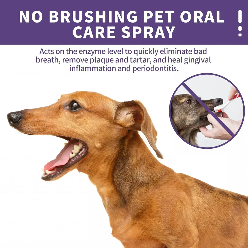 Pet Oral Cleanse Spray – Natural Plant Extract Dental Spray for Dogs & Cats (50ml)