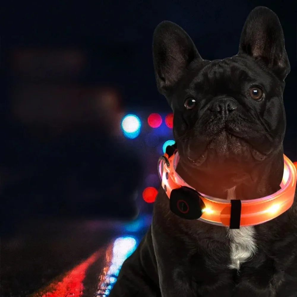 Adjustable LED Dog Collar & Leash Set – USB Rechargeable