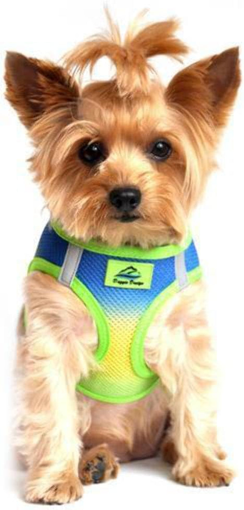 American River Dog Harness Ombre Collection - Raspberry Sundae 