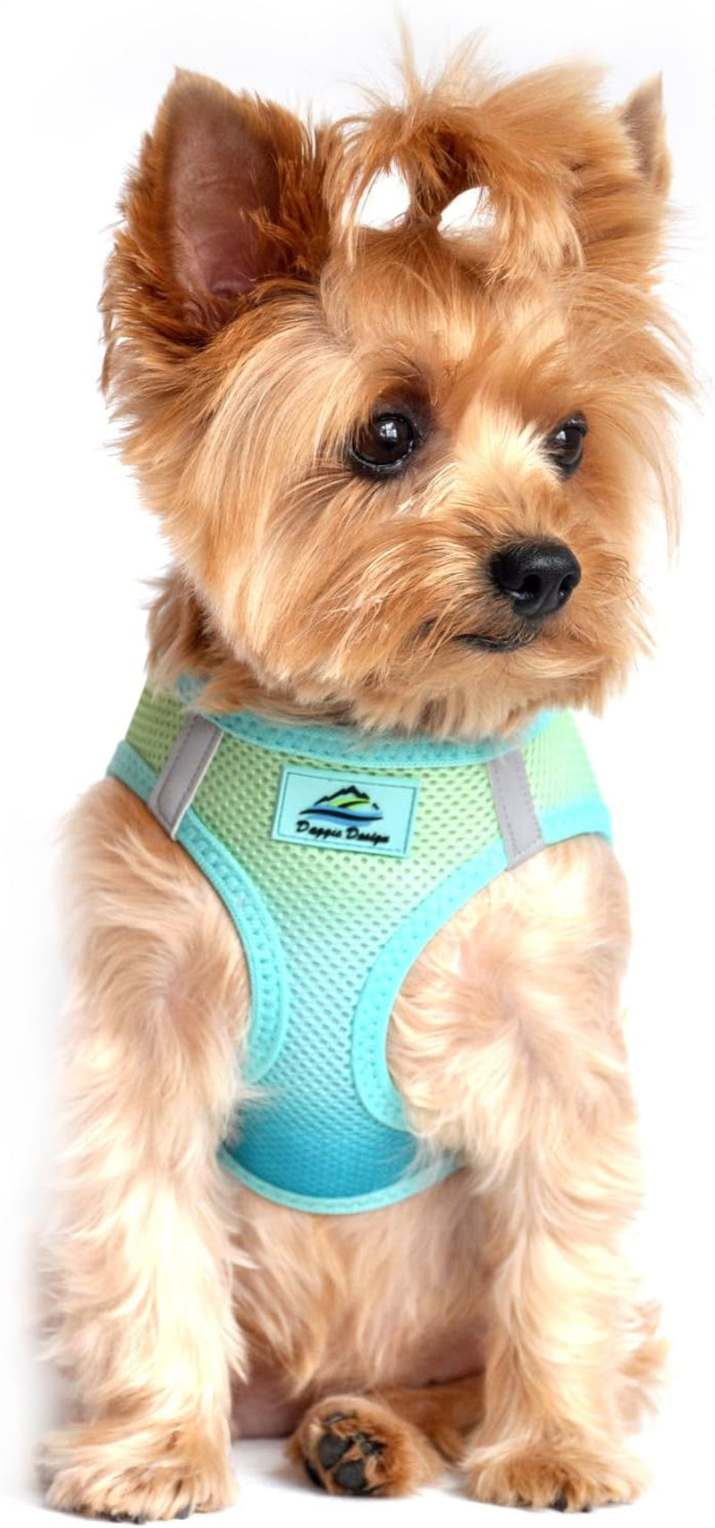 American River Dog Harness Ombre Collection - Raspberry Sundae 
