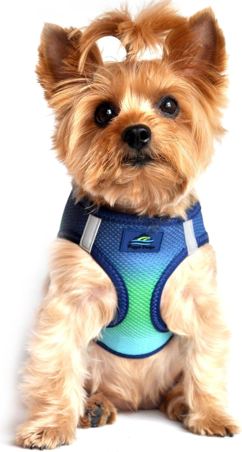 American River Dog Harness Ombre Collection - Raspberry Sundae 