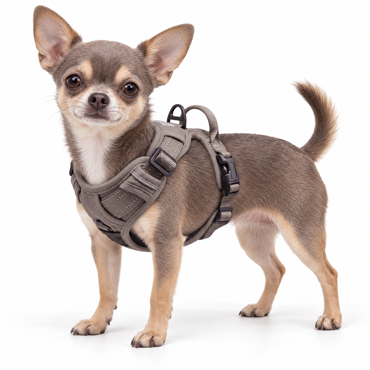 Venture Paw Pull Control Dog Harness - Dried Sage