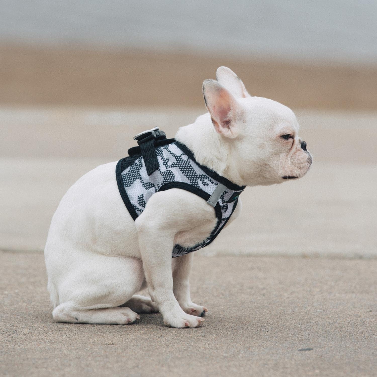 American River Step in Mesh Ultra Choke Free Dog Harness Safety Reflective Strips Camouflage Print Collection - Gray Camo