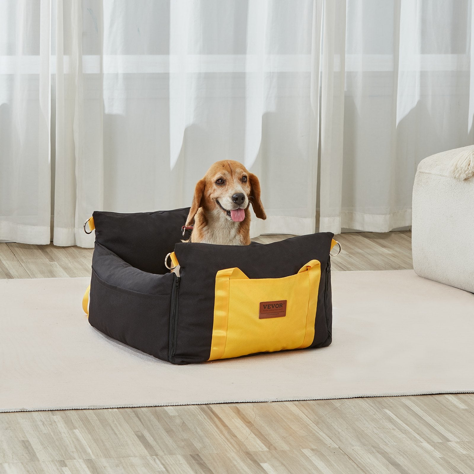 Dog sitting in a black and yellow pet bed on a carpeted floor with curtains in the background.