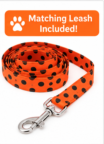 Fab-BOO-lous Halloween Dog Harness Dress