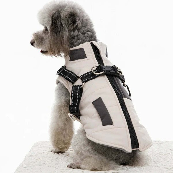 Harnesses