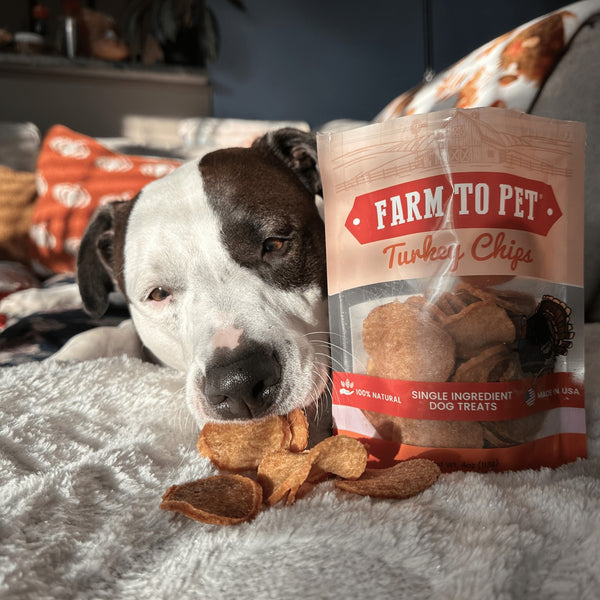 Treats & Chews