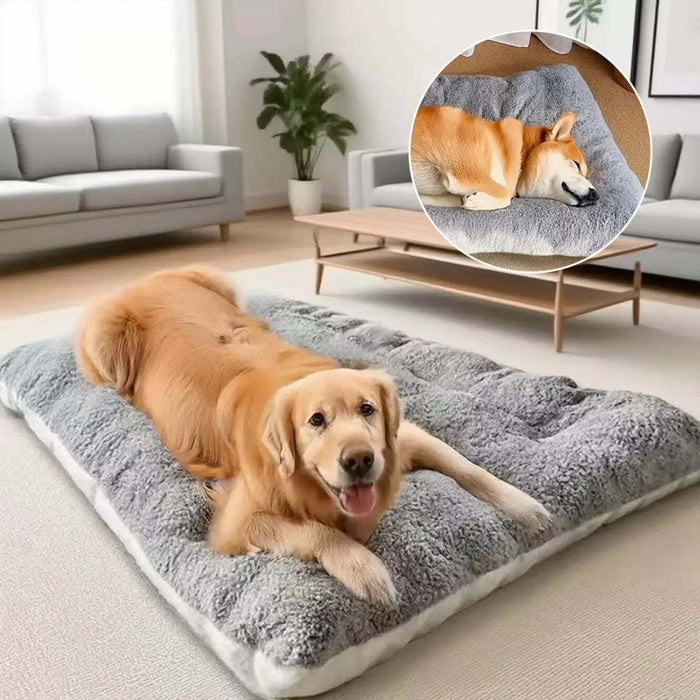 Premium Dog Beds