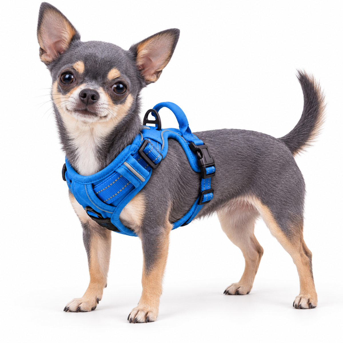 Venture Paw Pull Control Dog Harness - Mountain Lake