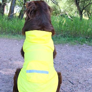 Packable Dog Raincoat