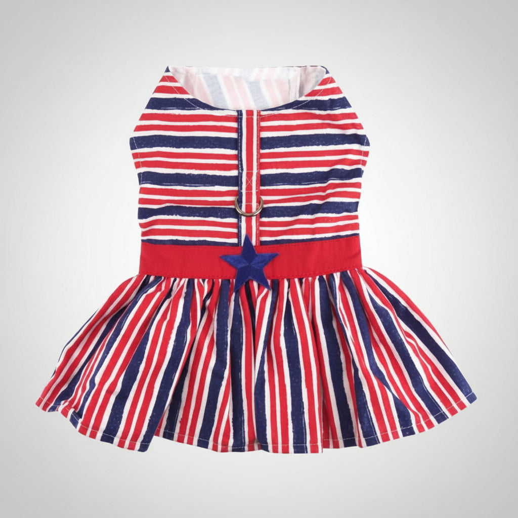 Red, white, and blue striped dress with a star on a white background