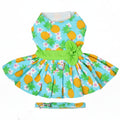 Dog dress with pineapple pattern and green belt on a white background