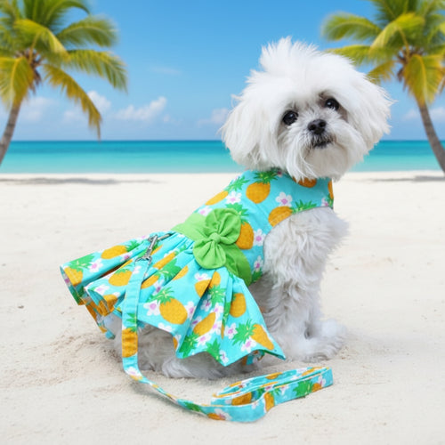 Pineapple Luau Dog Harness Dress with Matching Leash