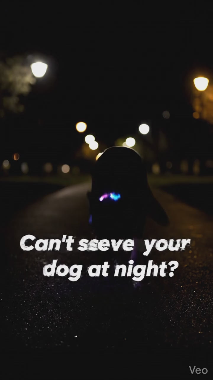 LED Dog Collar Rechargeable – Light Up Pet Collar for Night Safety Walking, Adjustable Waterproof Glow Collar for Small Medium Large Dogs