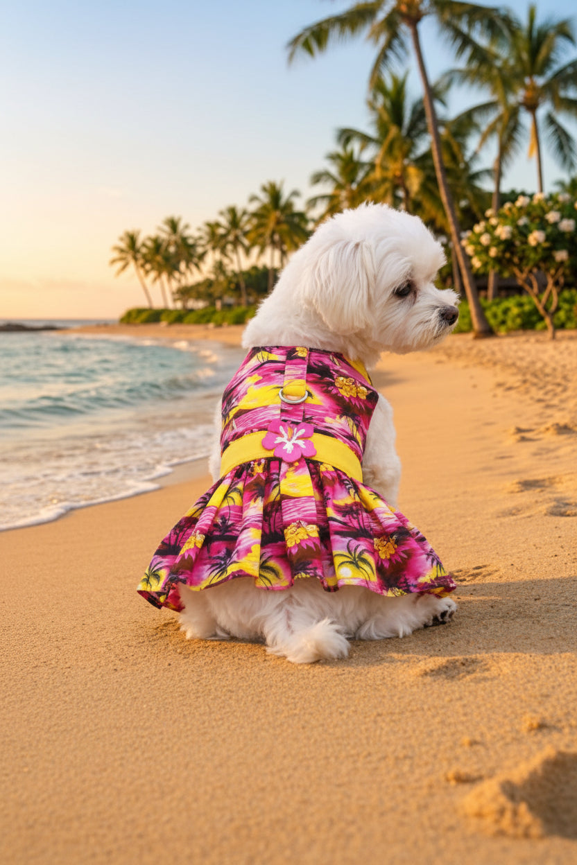 Small white dog wearing a colorful dress on a sandy beach with palm trees and ocean in the background