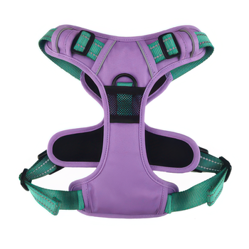 Purple and green dog harness on a white background