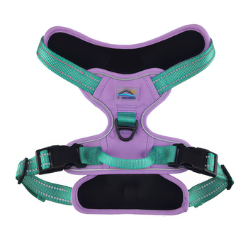 Dog harness with purple and green straps on a white background